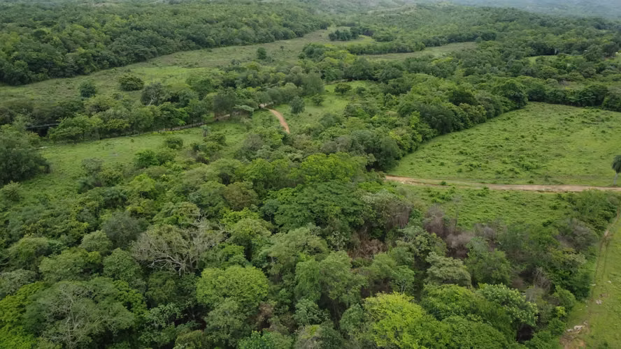  Se vende finca en Guanacaste 