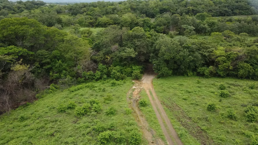  Se vende finca en Guanacaste 