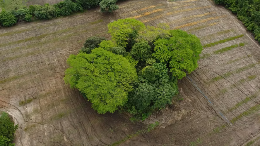  Se vende finca en Guanacaste 