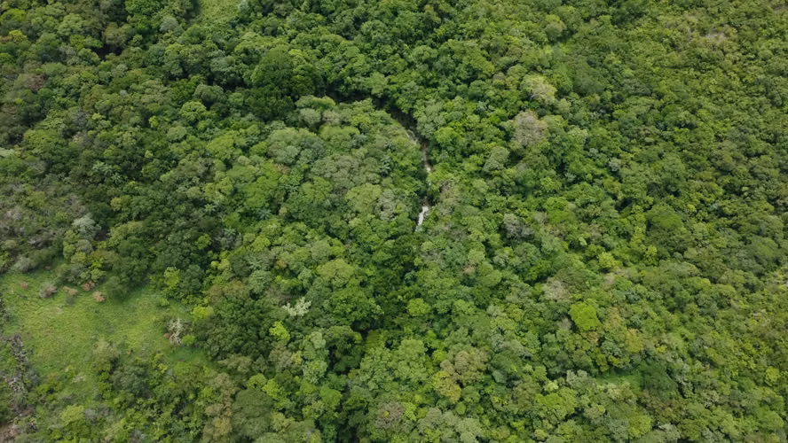  Se vende finca en Guanacaste 