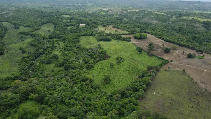  Se vende finca en Guanacaste 