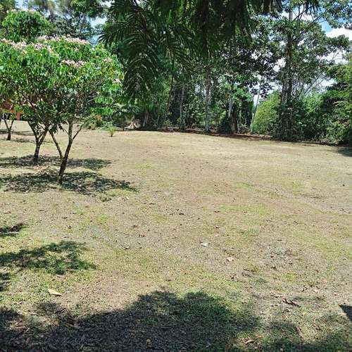 Venta de lote en Guapiles CON CABAÑA INCLUIDA - Imagen 3