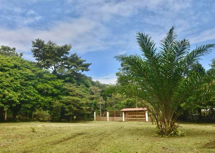 Venta de lote en Guapiles CON CABAÑA INCLUIDA - Imagen 13