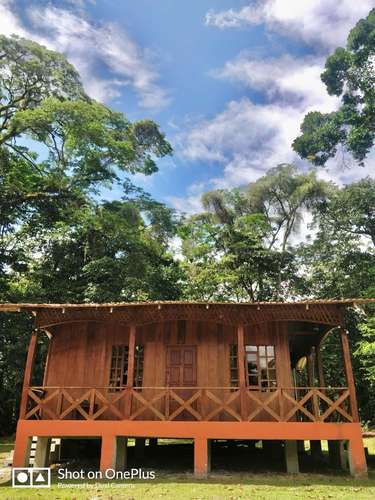 Venta de lote en Guapiles CON CABAÑA INCLUIDA - Imagen 12