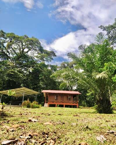 Venta de lote en Guapiles CON CABAÑA INCLUIDA - Imagen 5