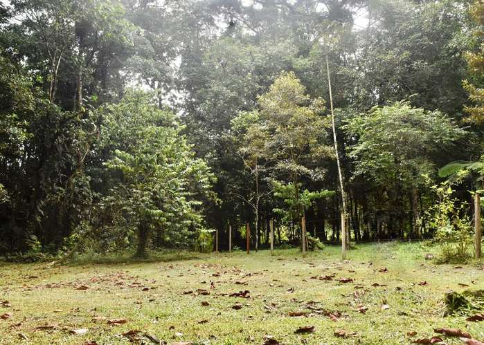 Venta de lote en Guapiles CON CABAÑA INCLUIDA - Imagen 2
