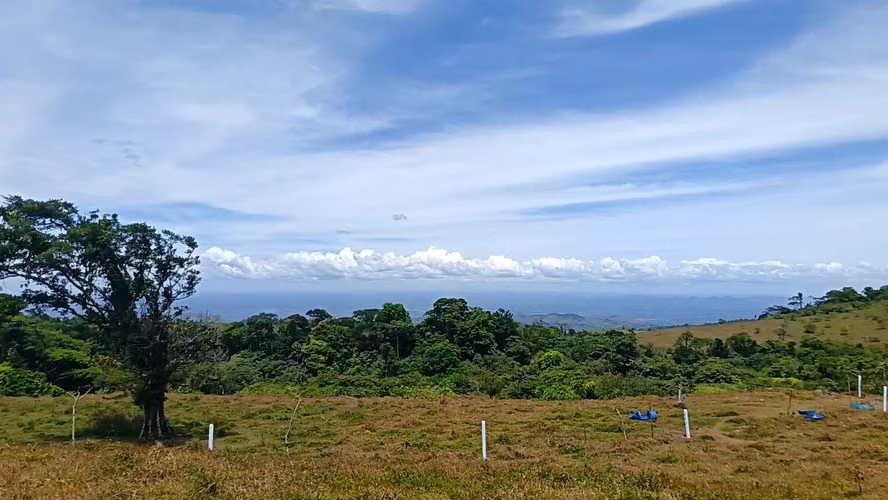 Lotes en Venta, Ciudad Quesada - Imagen 5