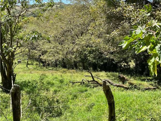 Venta terreno 350m2 en Monteverde
