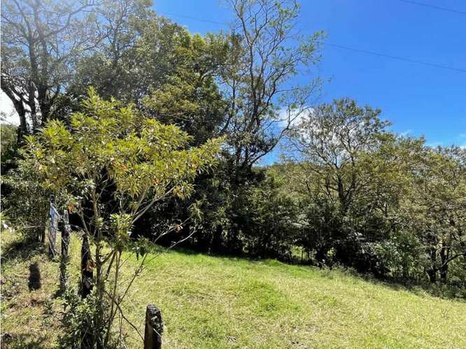 Venta terreno 350m2 en Monteverde