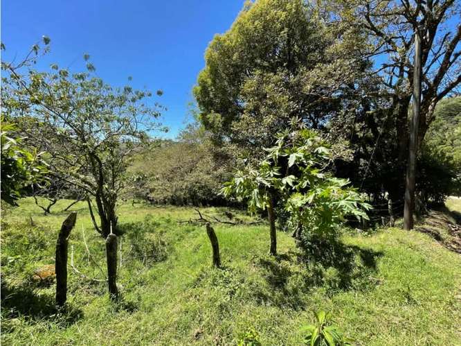 Venta terreno 350m2 en Monteverde