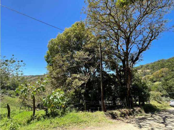 Venta terreno 350m2 en Monteverde