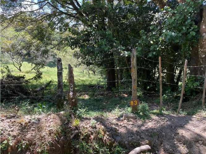 Venta terreno 350m2 en Monteverde