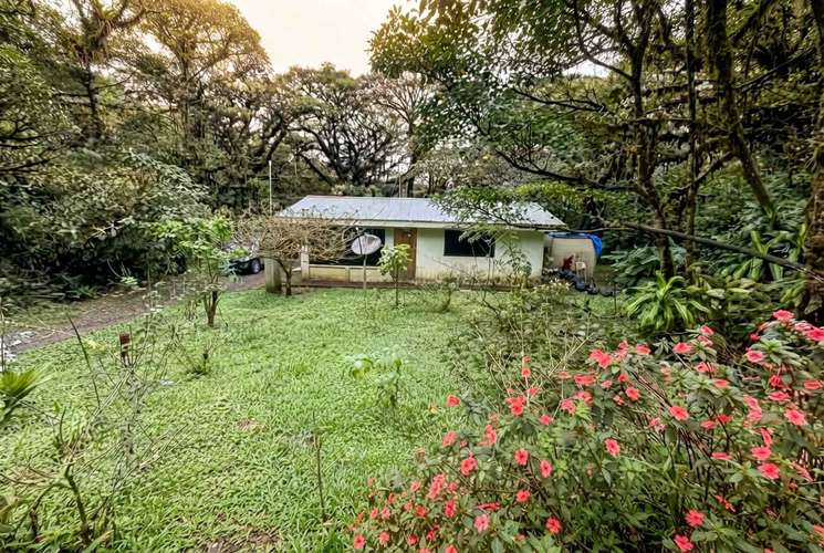 Glamping La Paz en San Ramón de Alajuela - Imagen 14