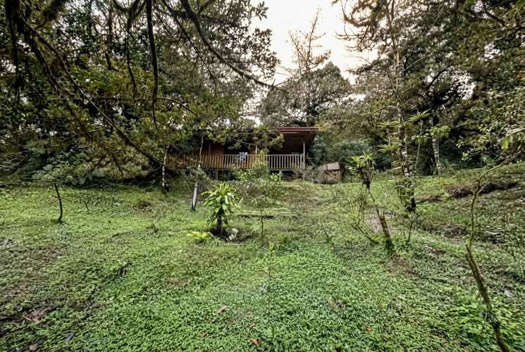 Glamping La Paz en San Ramón de Alajuela - Imagen 19
