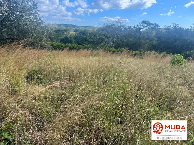 Gran Terreno en Venta a Minutos de Tamarindo – Zona de Alta Plusvalía - Imagen 8