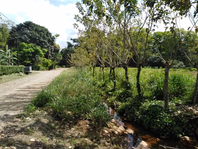 Valle Azul de San Ramón, VENTA FINCA GANADERA