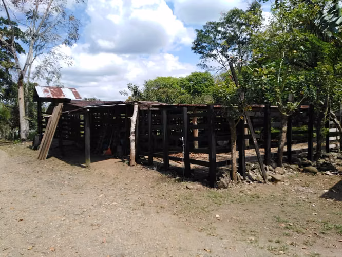 Valle Azul de San Ramón, VENTA FINCA GANADERA - Imagen 4