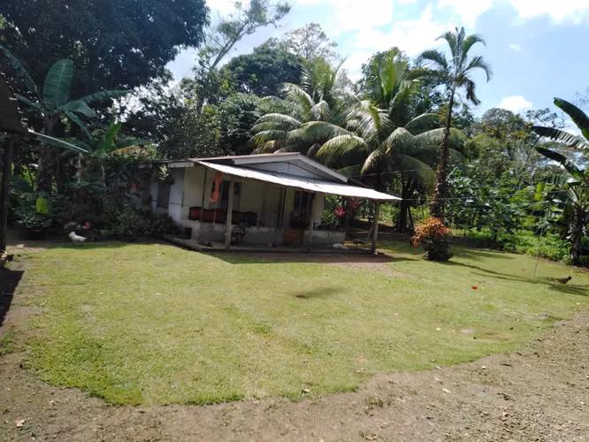 Valle Azul de San Ramón, VENTA FINCA GANADERA - Imagen 7