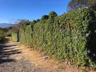 PROPIEDAD EN HEREDIA, BELÉN 3.373m2