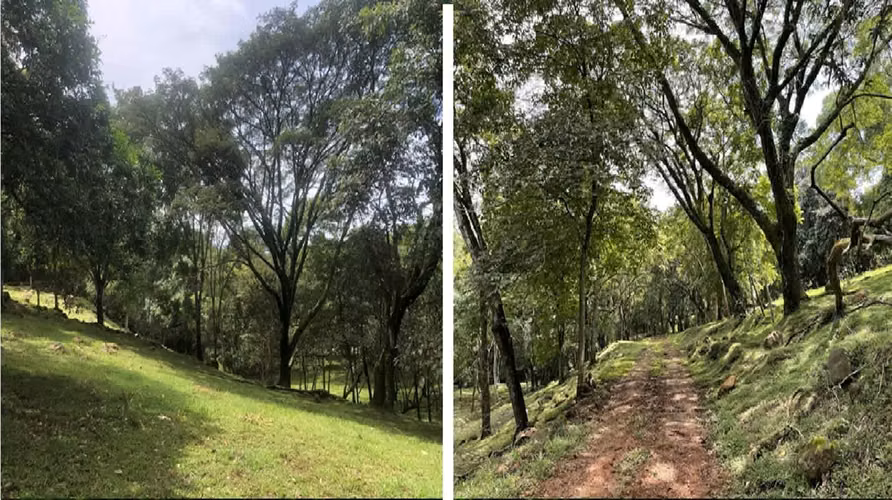 OROTINA, EN VENTA UNA HERMOSA PROPIEDAD CON USO DE SUELO MIXTO. - Imagen 2