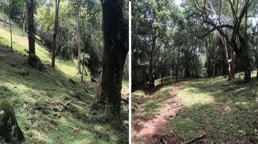 OROTINA, EN VENTA UNA HERMOSA PROPIEDAD CON USO DE SUELO MIXTO. - Imagen 9