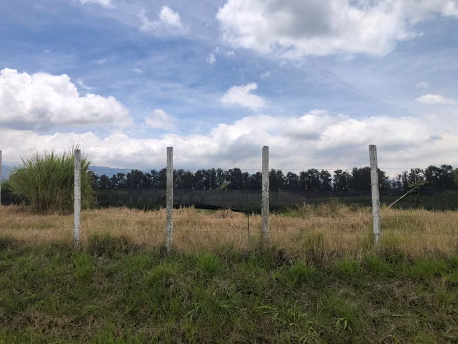 TERRENO INDUSTRIAL Y COMERCIAL CARTAGO 128.400m2