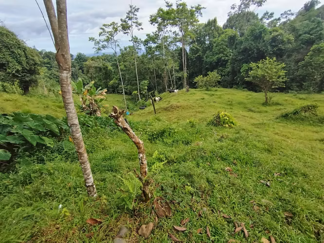 Terreno de ensueño