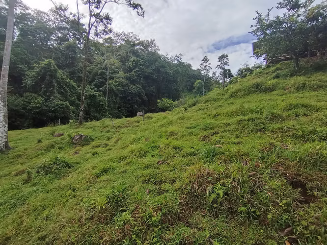 Terreno de ensueño