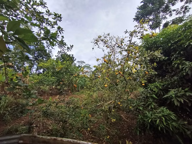 Terreno de ensueño