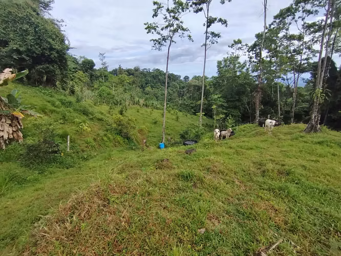 Terreno de ensueño
