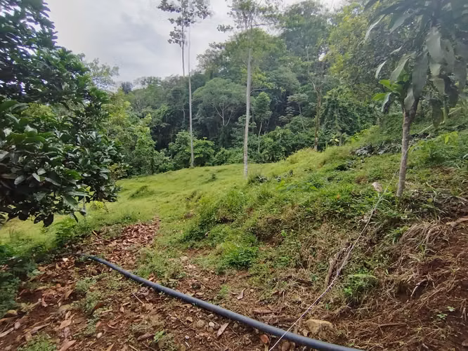 Terreno de ensueño