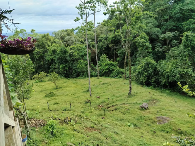 Terreno de ensueño