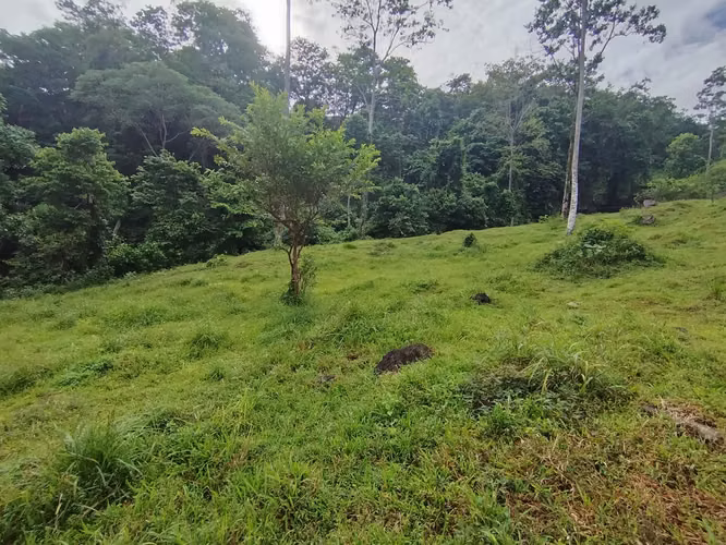Terreno de ensueño