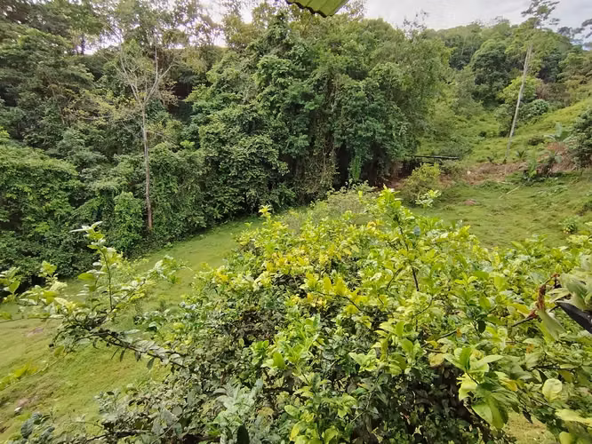 Terreno de ensueño