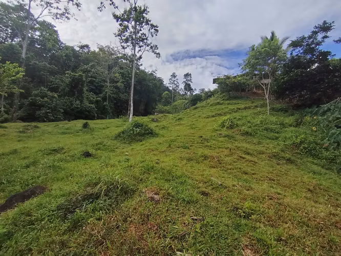 Terreno de ensueño