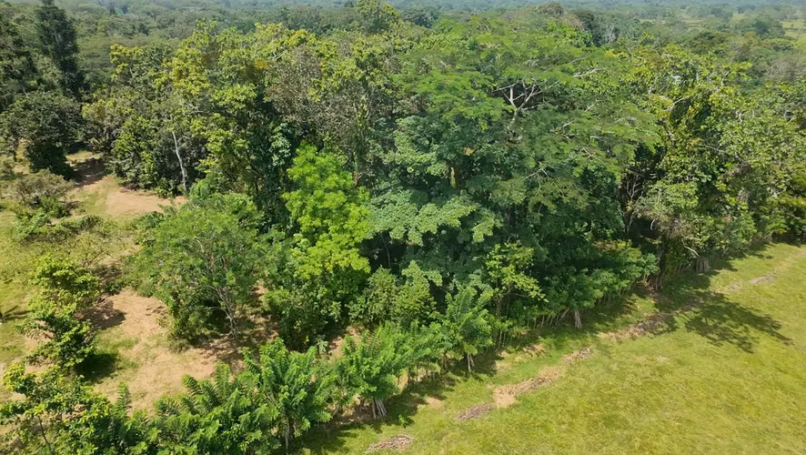 Propiedad estratégica sobre ruta 32