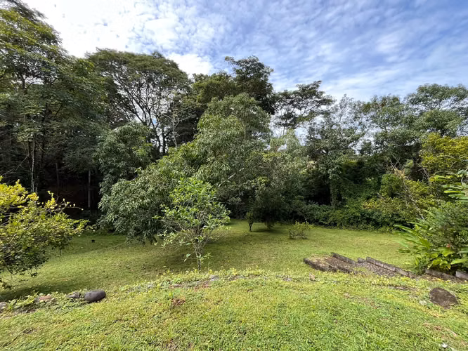 Mastate, Orotina: con 3 Terrazas Naturales y arboles frutales - Imagen 4