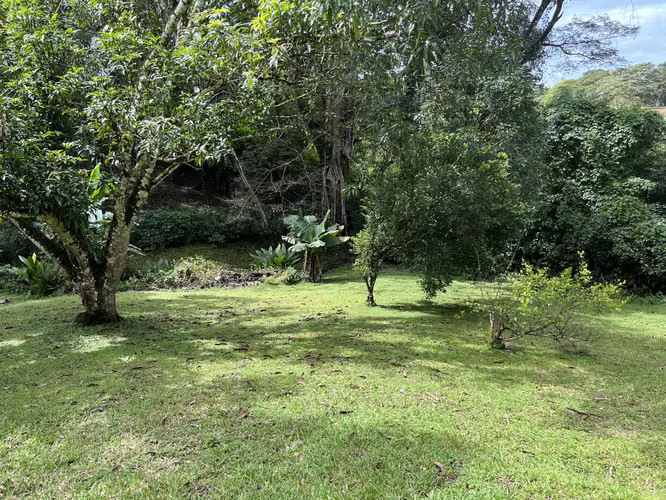 Mastate, Orotina: con 3 Terrazas Naturales y arboles frutales - Imagen 17
