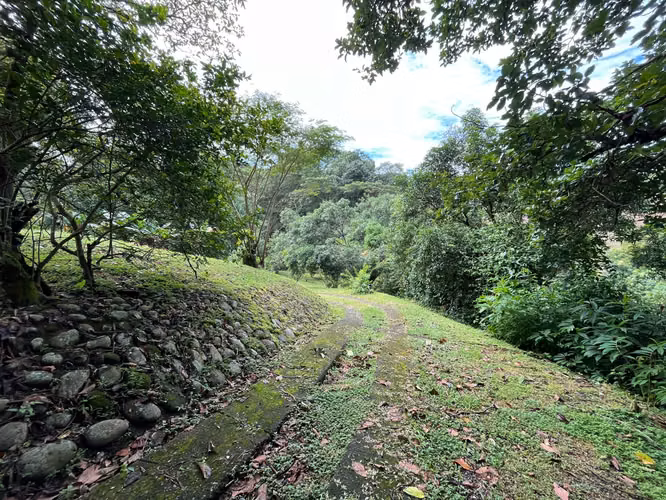Mastate, Orotina: con 3 Terrazas Naturales y arboles frutales - Imagen 20