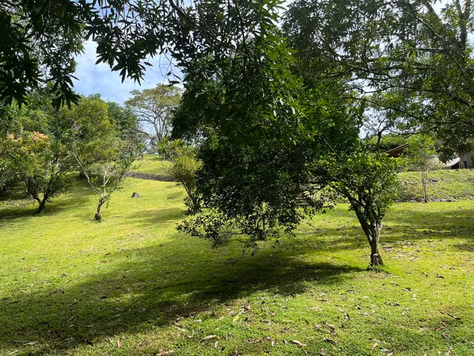 Mastate, Orotina: con 3 Terrazas Naturales y arboles frutales - Imagen 7