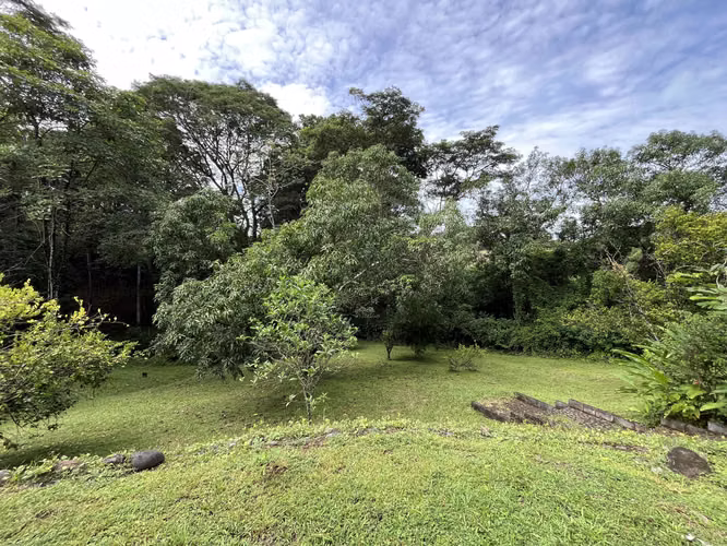 Mastate, Orotina: con 3 Terrazas Naturales y arboles frutales - Imagen 19