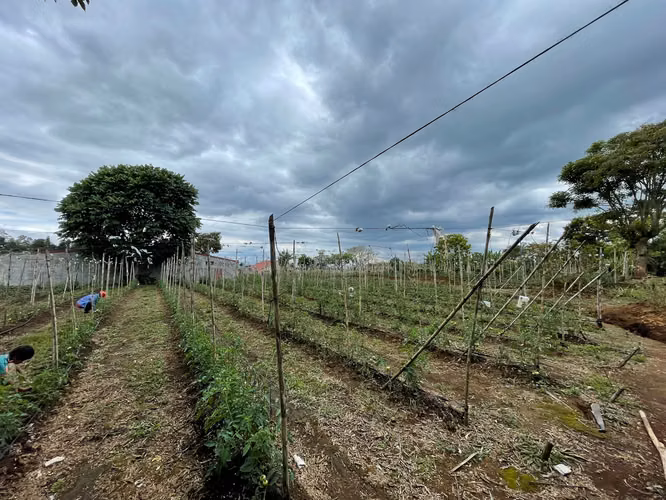 Amplio Terreno en Venta en Alajuela Carrizal — Ideal para Proyecto - Imagen 7