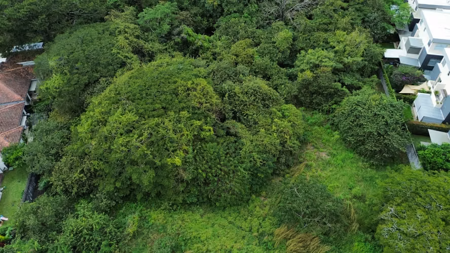 Lote para desarrollo. Pozos de Sta Ana - Lindora