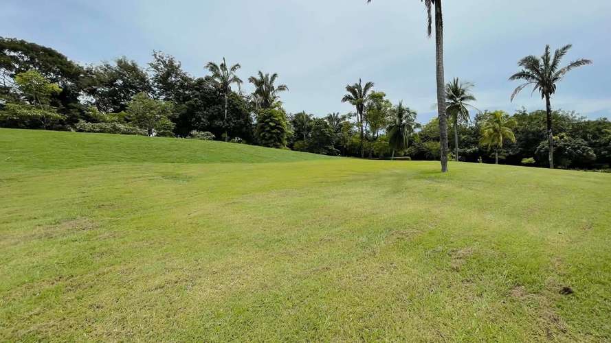 Venta de Lote en Condominio, Guanacaste  - A 7 min de la Playa- - Imagen 3