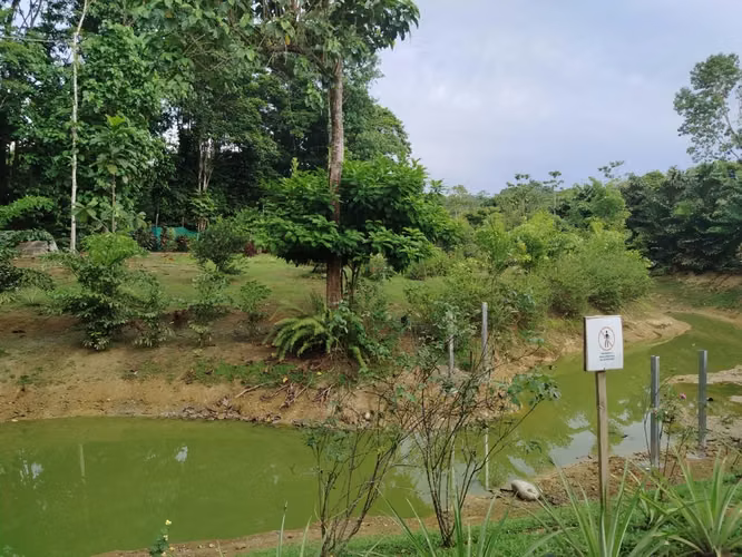 Casa en Venta cerca de Punta Uva.