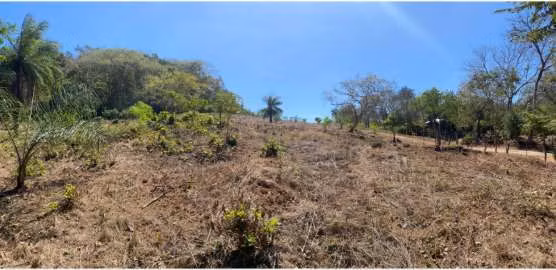 Terrenos en venta en Santa Cruz Guanacaste 24769 - Imagen 2