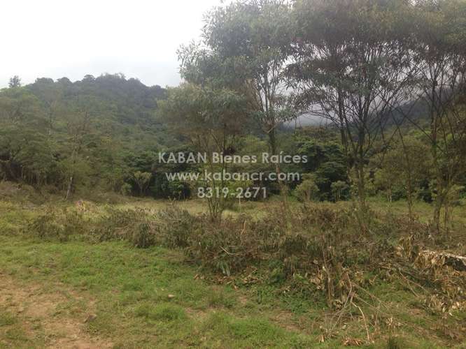 Venta de finca de 28 ha, Valle de OROSI, Cartago