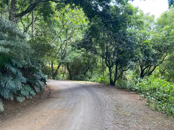 Venta de Lotes con Vista Inmejorable, Santa Ana. 4724 - Imagen 14