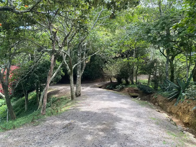 Venta de Lotes con Vista Inmejorable, Santa Ana. 4724 - Imagen 12