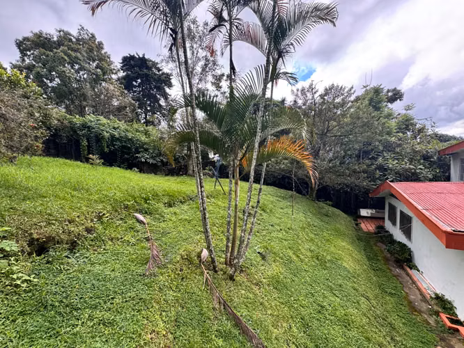 id 41034 Venta de casa con amplio terreno en San Ramón - Imagen 3